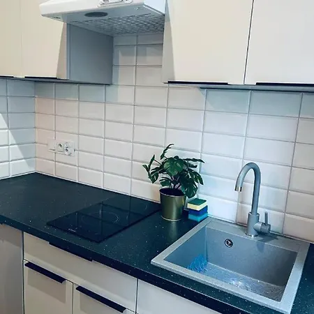 Piekny Apartament Na Stachowicza Lägenhet Kraków